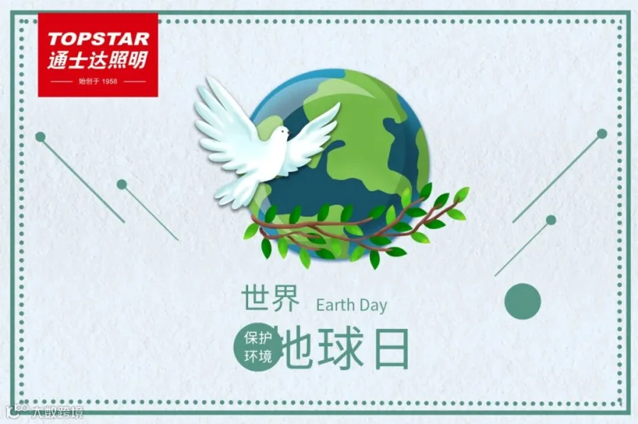 橄榄枝.jpg