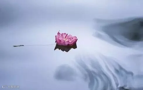 http://7xo6kd.com1.z0.glb.clouddn.com/upload-ueditor-image-20160127-1453874772343028325.jpg