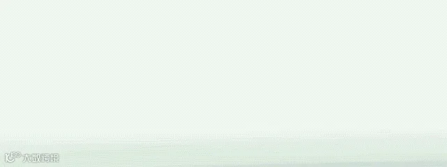 广西农业品牌促进会111_batch.gif