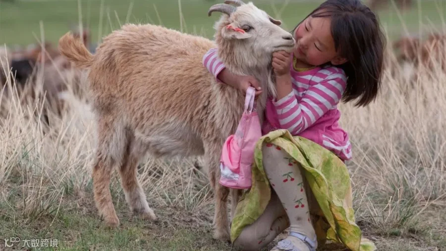 Cashmere Heritage