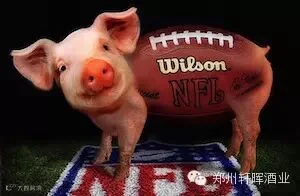 Pig-Skin-Football--95183.jpg