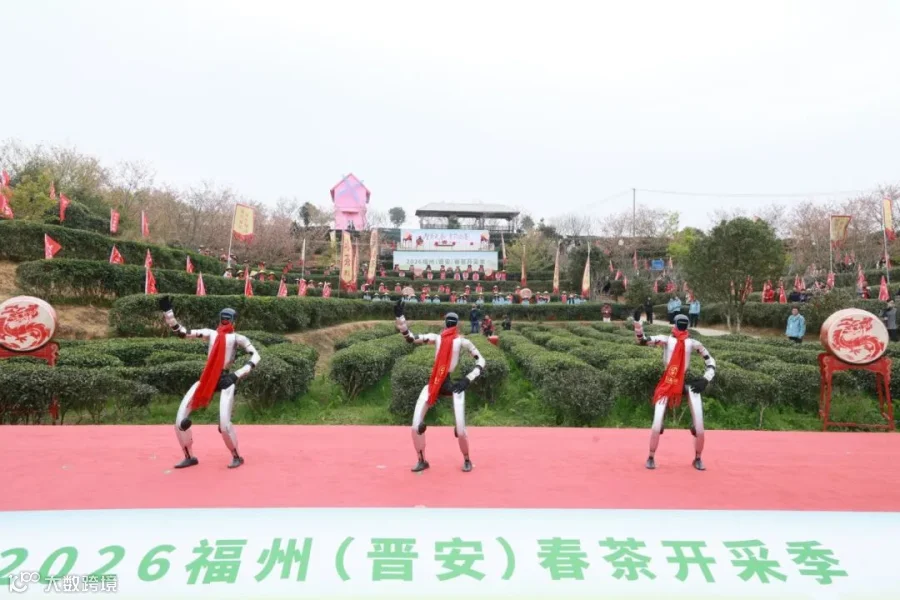 02.jpg