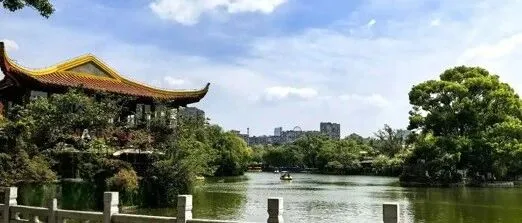 就算被吐槽是全省最大养老院，昆明土著依然在四季如春的街头吃着米线笑看内卷