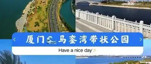 重大战略升级加码！泉州或将迎来全域腾飞！蓝图落定，未来五年，这些片区要起飞了！