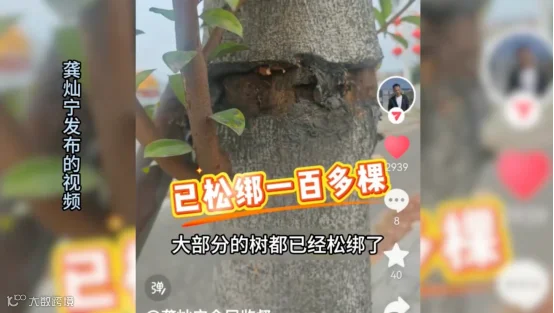 9e5bd0be-7e73-45db-af5f-dee302c9078d.png