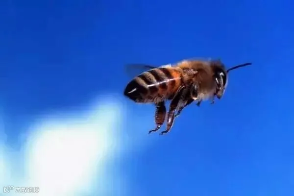 12.webp.jpg