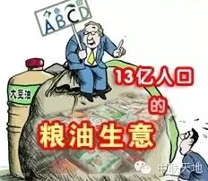茶油时代之七:缺油比缺粮还严重