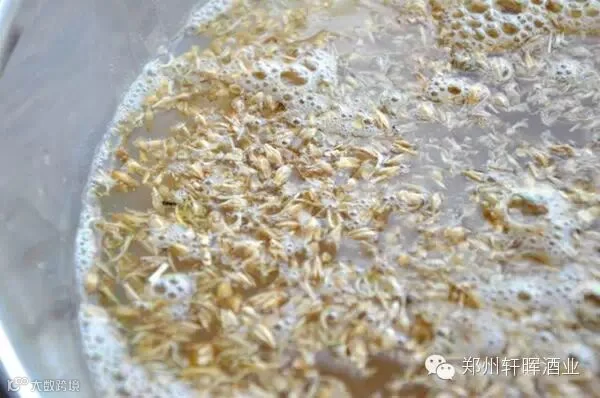 malted-barley-in-water-for-sikhye.jpg