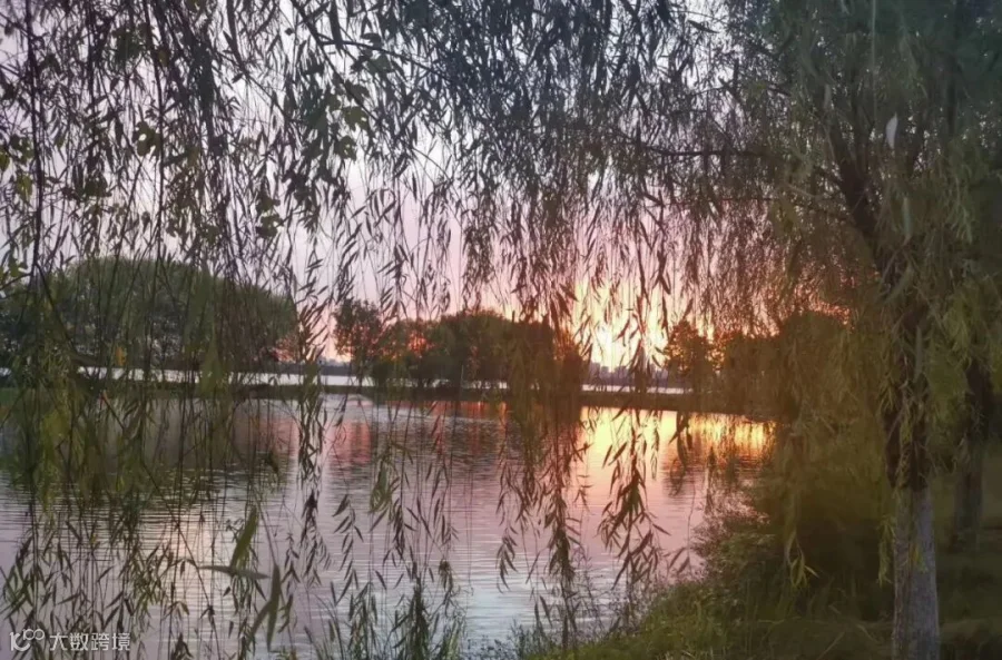 image-01-东湖公园傍晚湖畔柳影