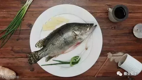 炖鱼时加了这个,美味得让邻居都点赞!居然没一点腥味