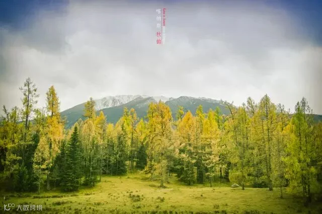 喀纳斯秋韵.上. (金秋十月北疆行之一)_11
