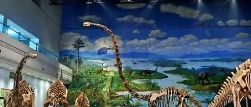 既然自贡顾不上发展<em>内江</em>，不如放手让<em>内江</em>跟着泸州去协同发展。