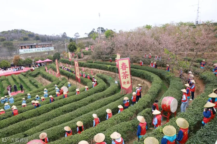 图片21.jpg