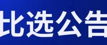 关于宁波四维尔汽车零部件有限公司仓储服务外包项目的比选采购公告