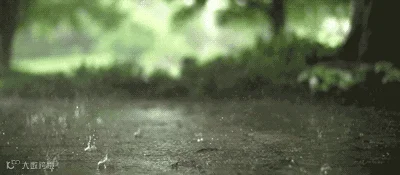 810a19d8bc3eb13513cf03deab1ea8d3fd1f444e.gif