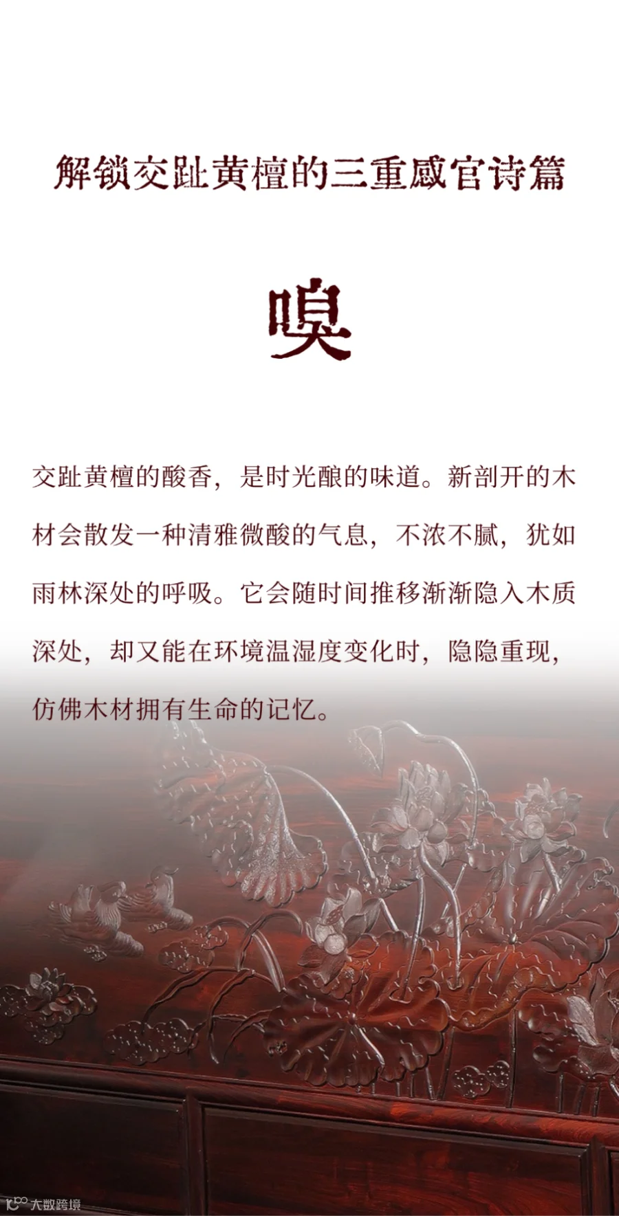 稿定设计-6.png