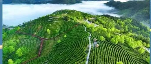安康风向突然变了！以前总被视作秦巴山区城市，如今富硒食品和新型材料并进让安康有了不再低存在感的底气
