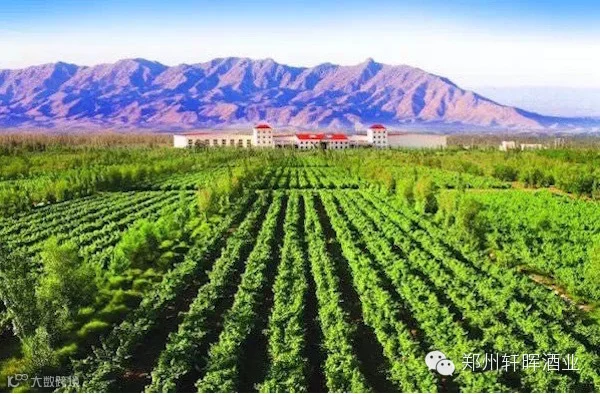 wine_veiw.jpeg