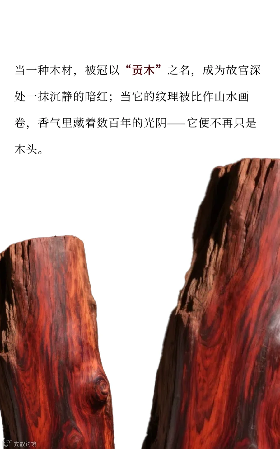 T250606196594上传文件.png
