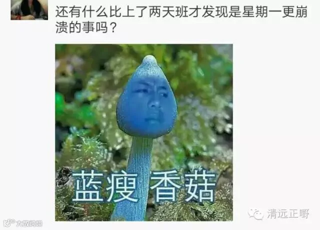 啊啊.jpg