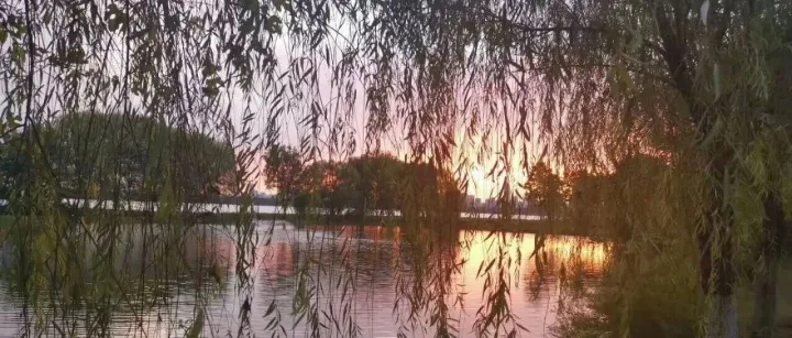 号角吹响！芜湖市重磅做优镜湖区，湾沚区的指标已经显而易见地在降！