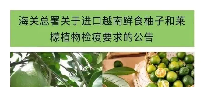 政策解读 | 海关总署关于进口越南鲜食柚子和莱檬植物检疫要求的公告