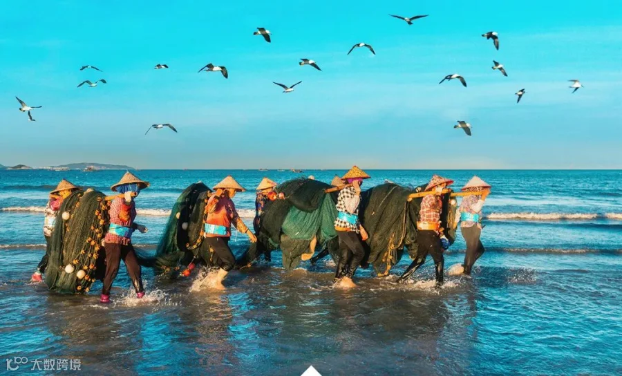碧海群鱼跃,蓝天鸥鸟飞。在福建省东山县金銮湾畔,天空接连海水洁净如玉,自由翱翔的海鸥与辛勤劳作的渔民,在落日余晖的映射下,熠熠发光。(高文伟 摄).jpg