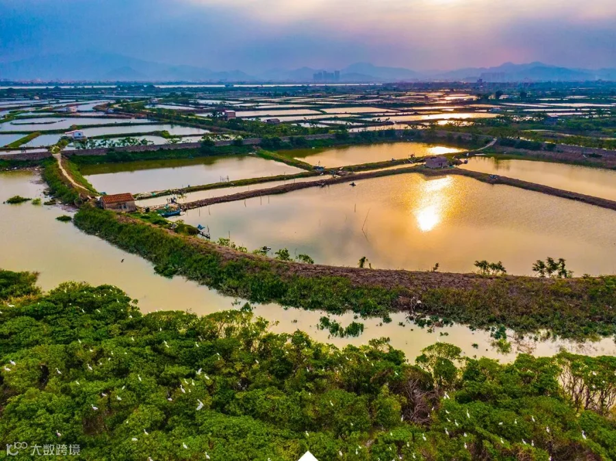 龙海.jpg