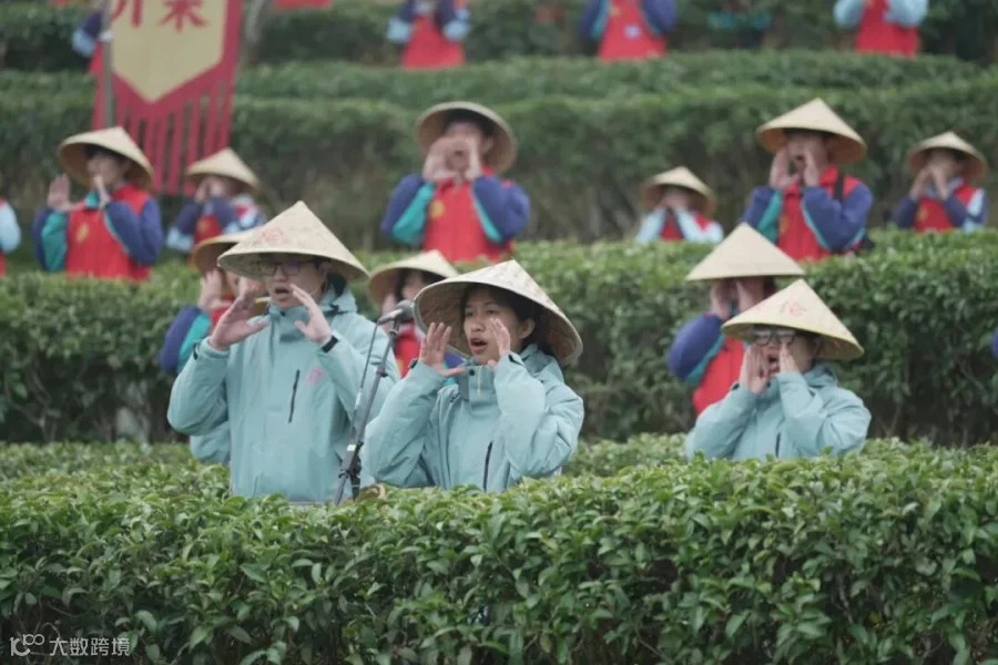 图片25.jpeg
