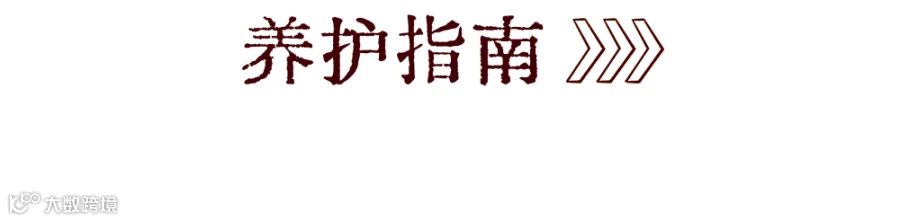稿定设计-12.png