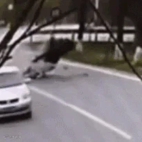轮胎事故3.gif