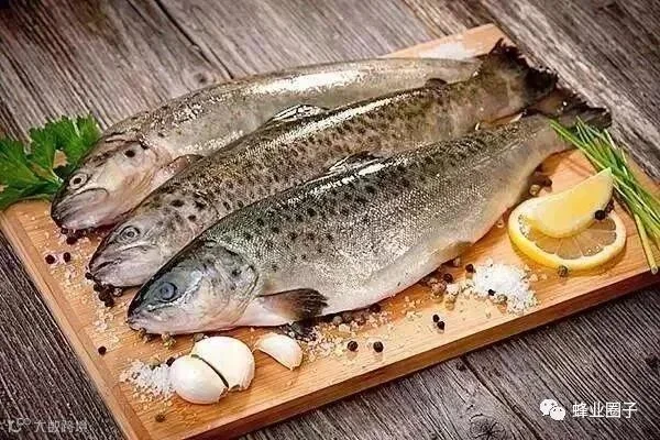 炖鱼时加了这个,美味得让邻居都点赞!居然没一点腥味