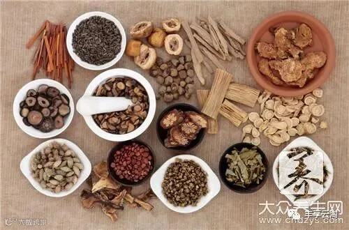 补肾壮阳20大中药