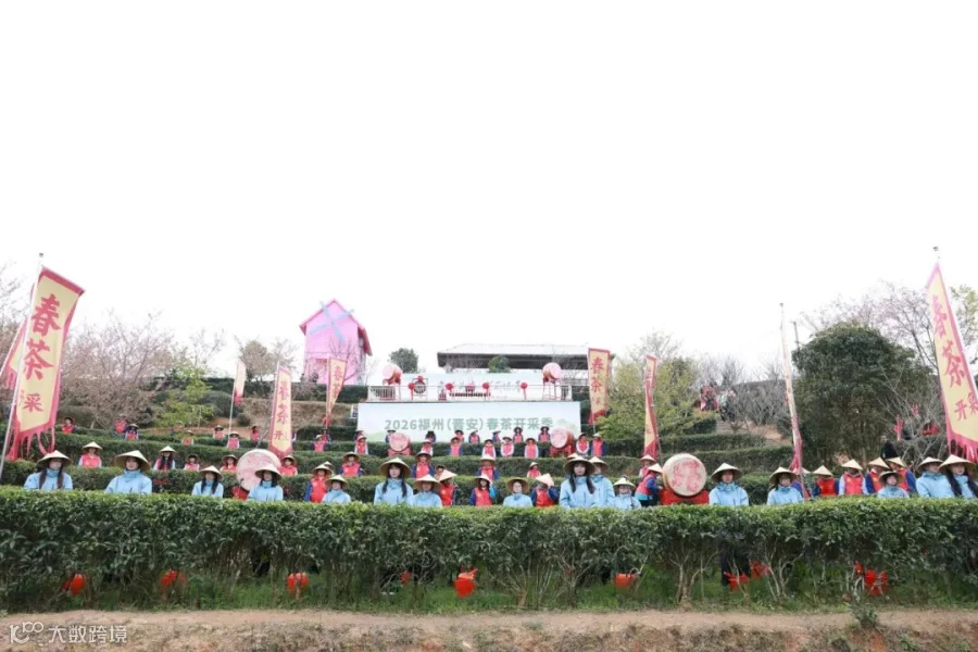 图片35.jpg