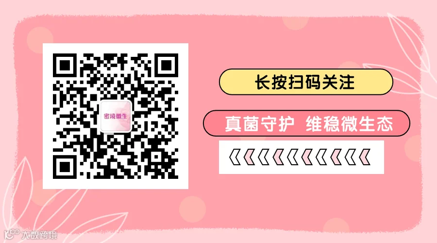 蓝色清新火箭烟花GIF动态二维码.gif