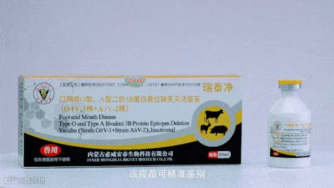 必威安泰宣传片02.08_4.gif