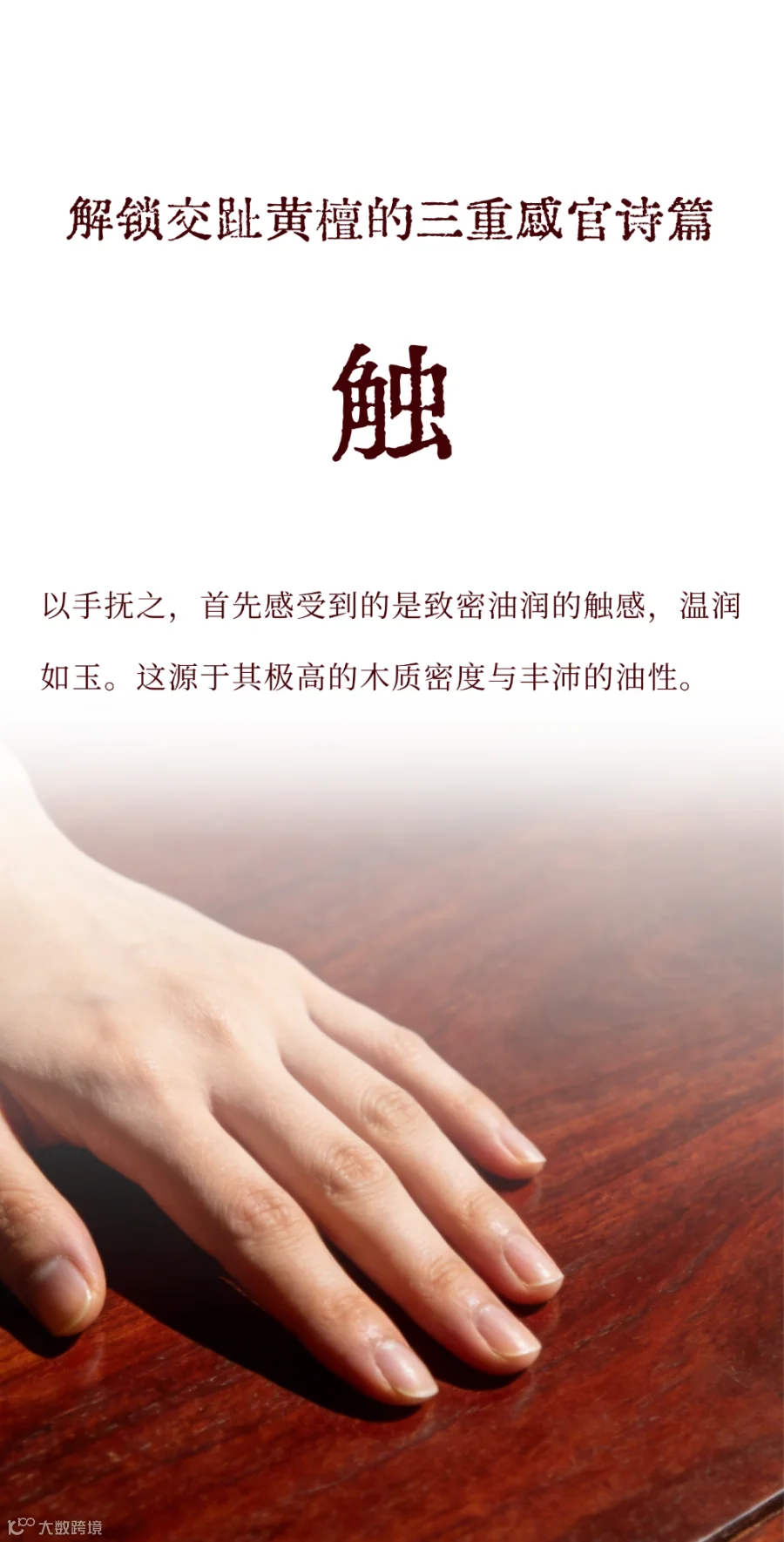 大红酸枝公众号 (5).png