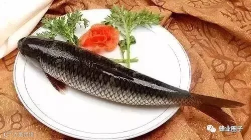 炖鱼时加了这个,美味得让邻居都点赞!居然没一点腥味