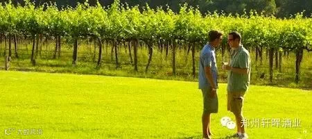 2boysvineyard.jpg