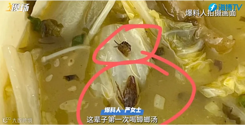 11.11崩溃!这家网红餐厅的外卖里有蟑螂!217.png
