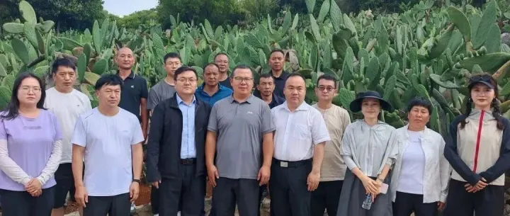 乌蒙乡人大代表赴<em>文山</em>、曲靖开展乡村振兴专题调研暨招商引资活动！