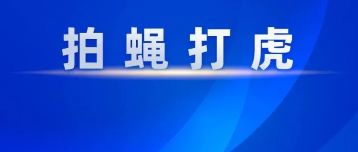 陈伟俊被双开！
