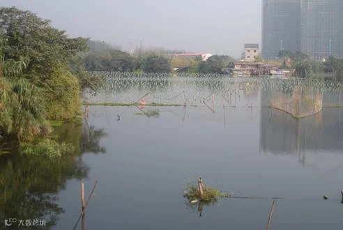 茹家河.png