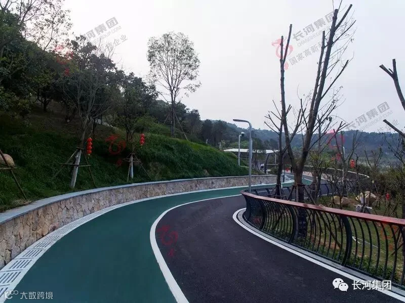 DJI_0174.jpg