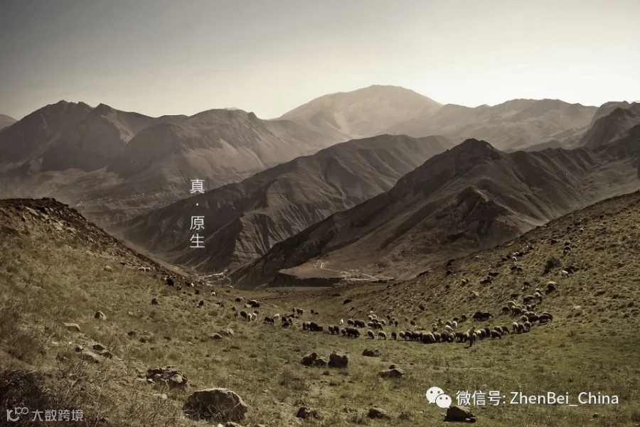 微信图片_20180322115746.png