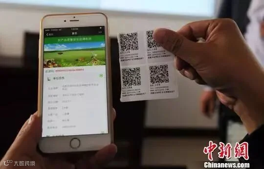 资料图:互联网应用广泛。
