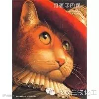 100本最棒的幼儿绘本推荐(南方都市报《城市周刊》出品)