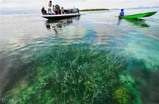 点击查看原图