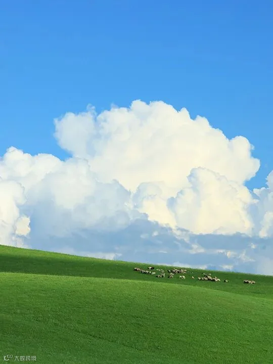 插图