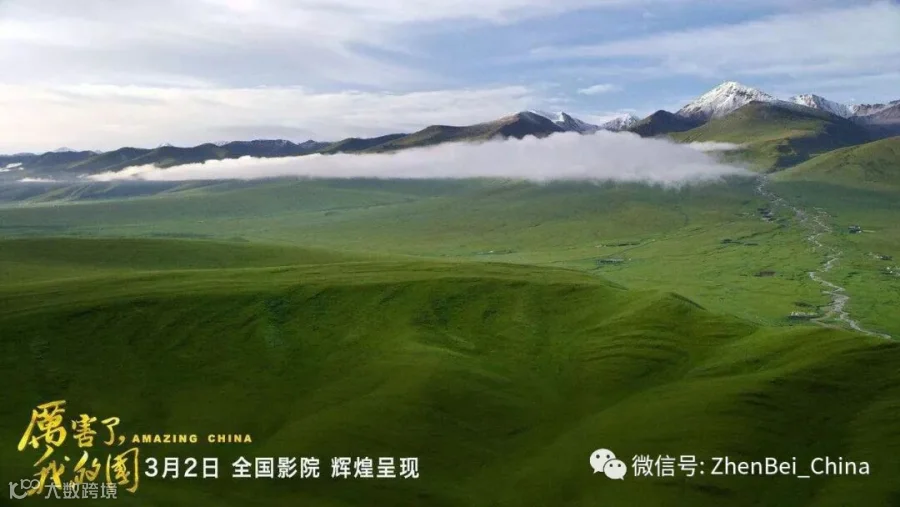 微信图片_20180320162023.jpg